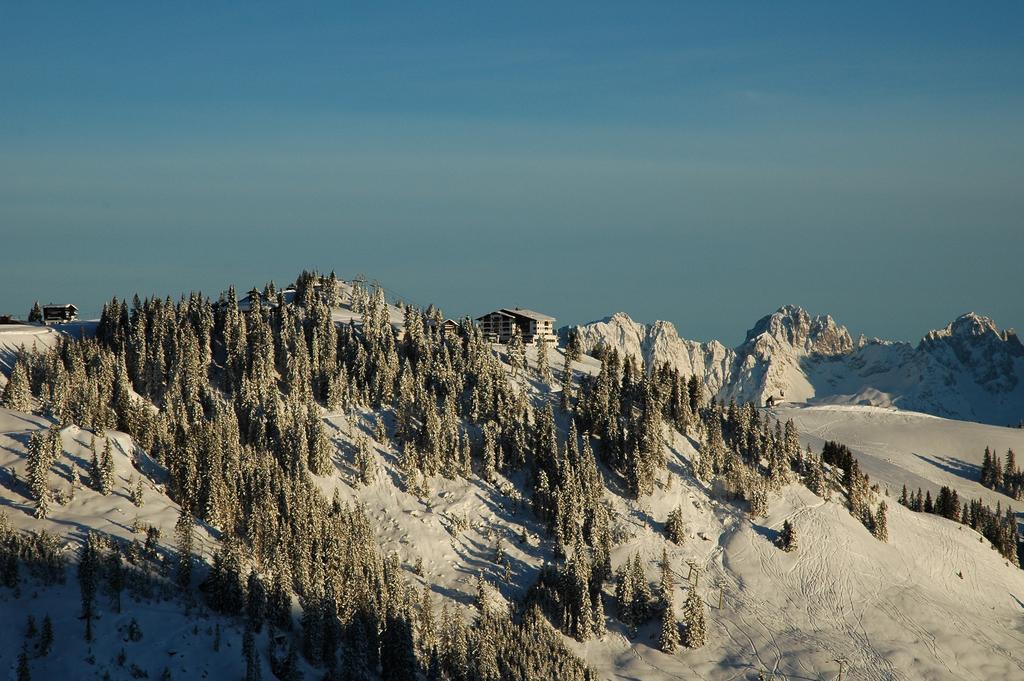 Ehrenbachhohe On Top Of The Mountain Kitzbühel Exterior foto